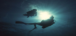 www.fundive.pf